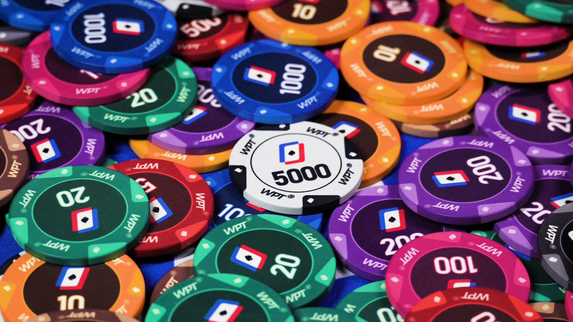 WPT 品牌有面額籌碼（單片）